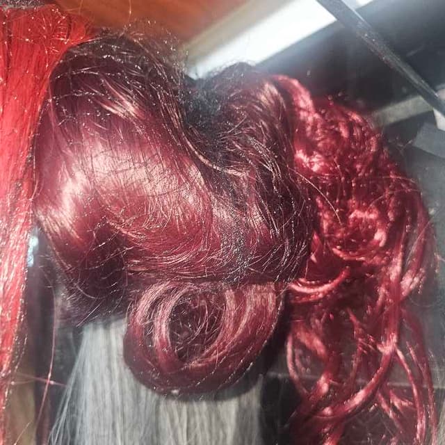 Chongo rojo