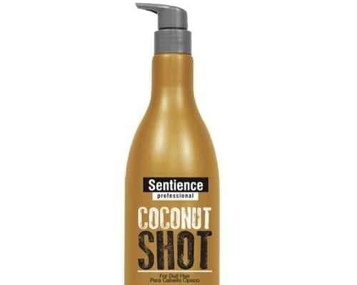 Sentience Professional - Coconut Shot - Shampoo - 830 ml